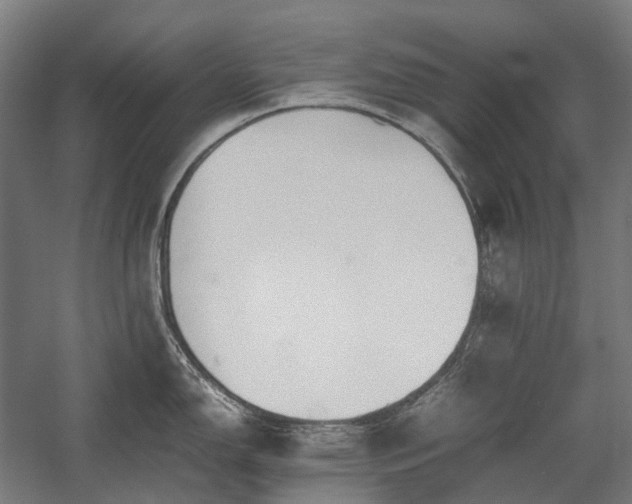 X0000058101150200509230953