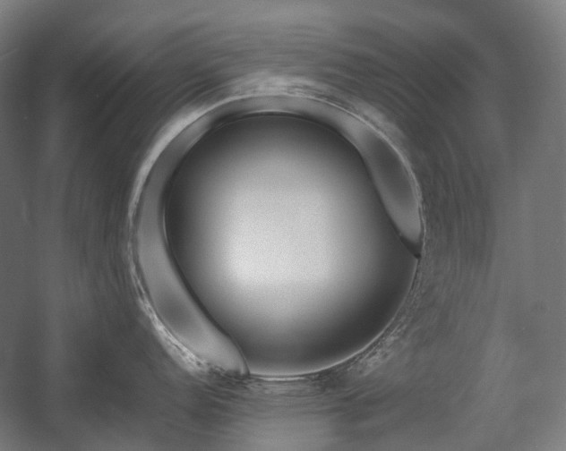 X0000058101152200509230953
