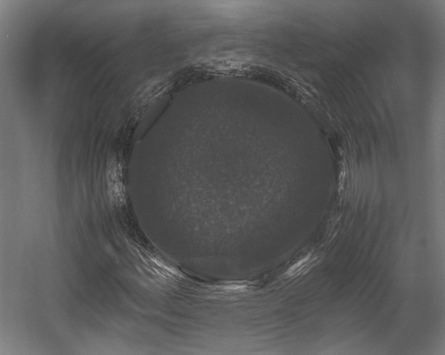 X0000058101156200509230952
