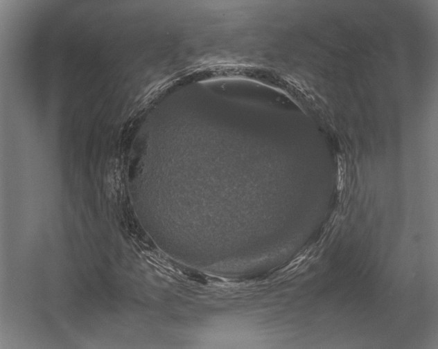 X0000058101157200509230952