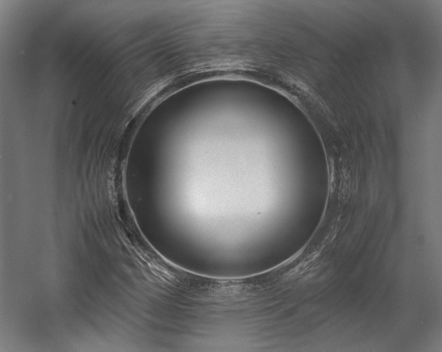 X0000058101162200509230952