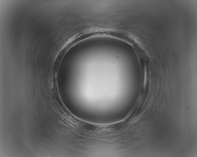 X0000058101165200509230952