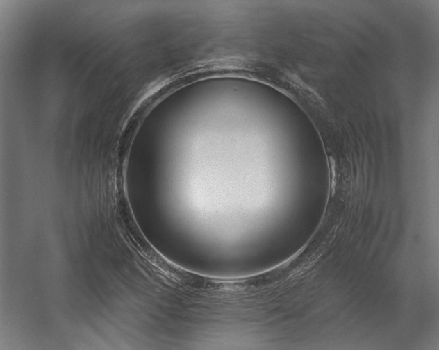 X0000058101166200509230952