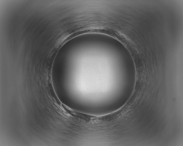 X0000058101169200509230952