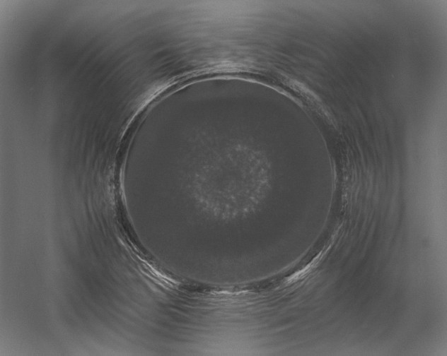 X0000058101170200509230952