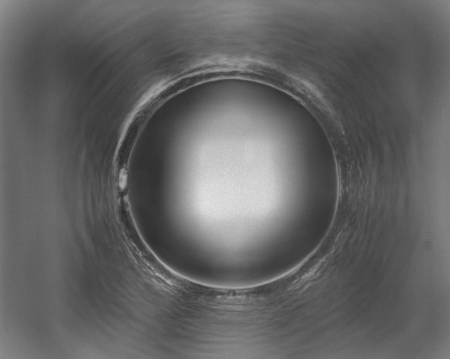 X0000058101172200509230952