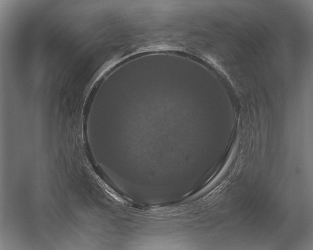 X0000058101173200509230952