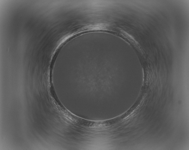 X0000058101174200509230952