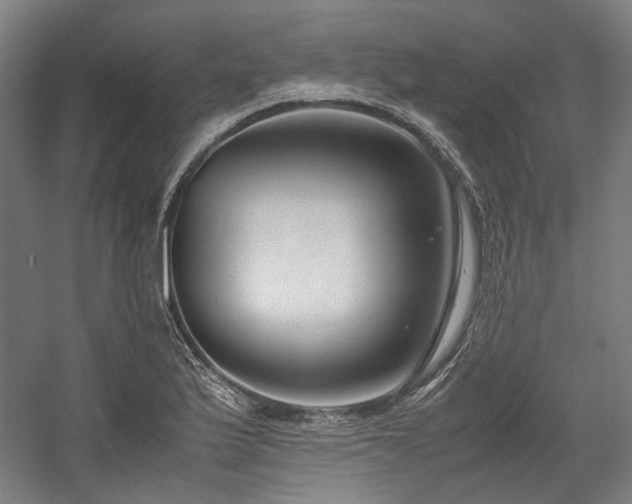 X0000058101175200509230952