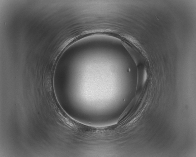 X0000058101177200509230952