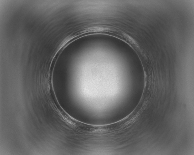 X0000058101178200509230952