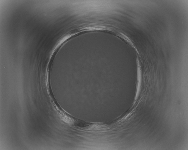 X0000058101179200509230952