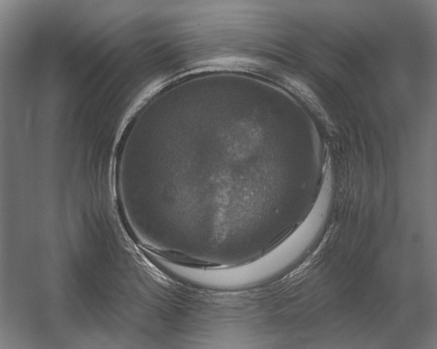 X0000058101180200509230952