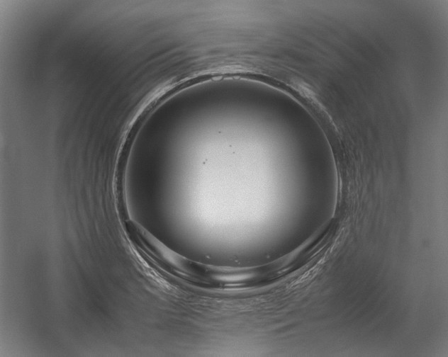 X0000058101181200509230952