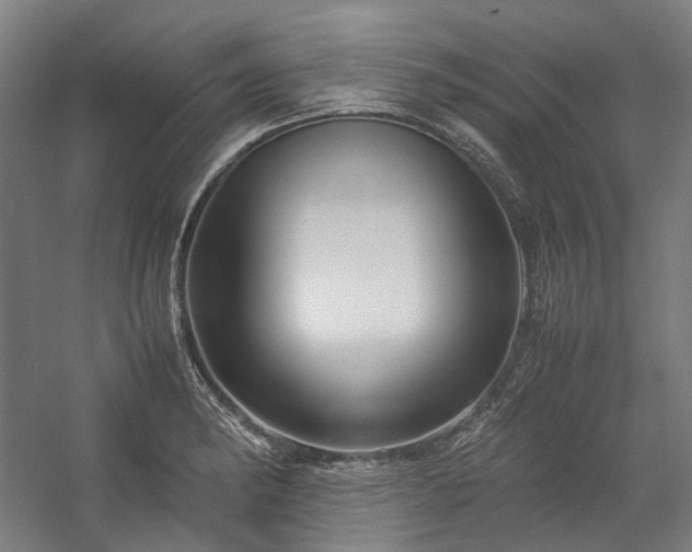 X0000058101182200509230952
