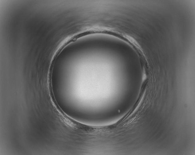 X0000058101183200509230952
