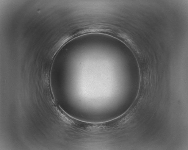 X0000058101185200509230952