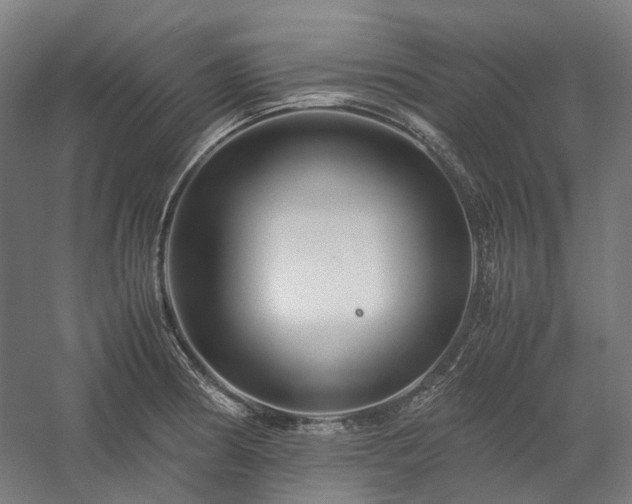X0000058101186200509230952