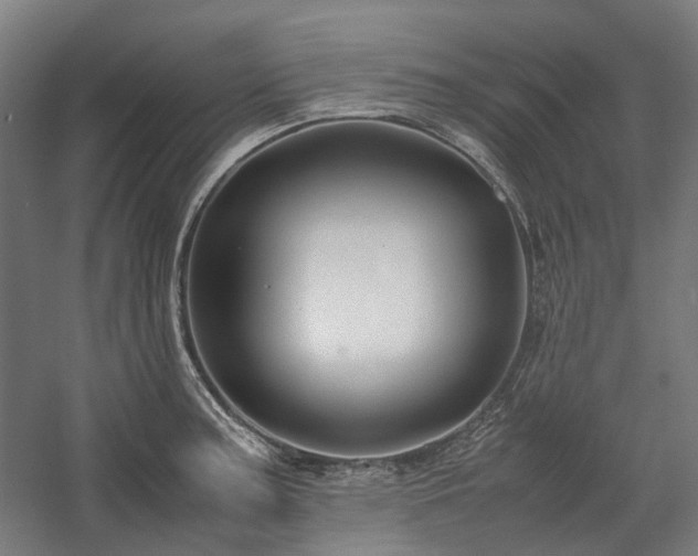 X0000058101187200509230952