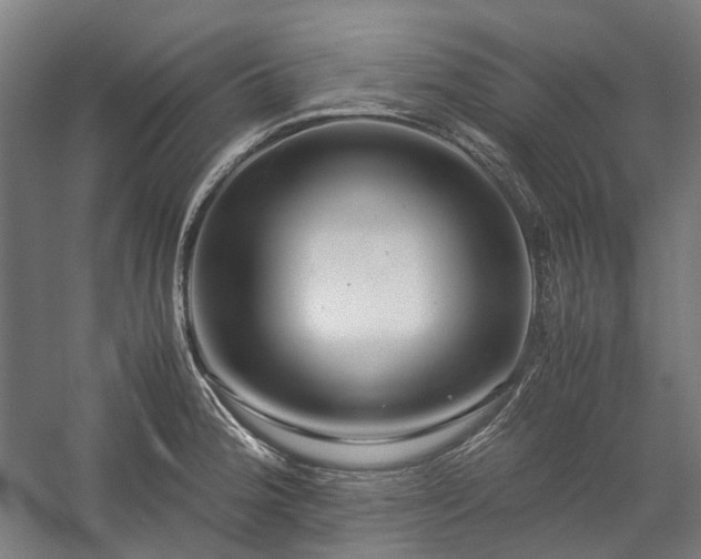 X0000058101188200509230952