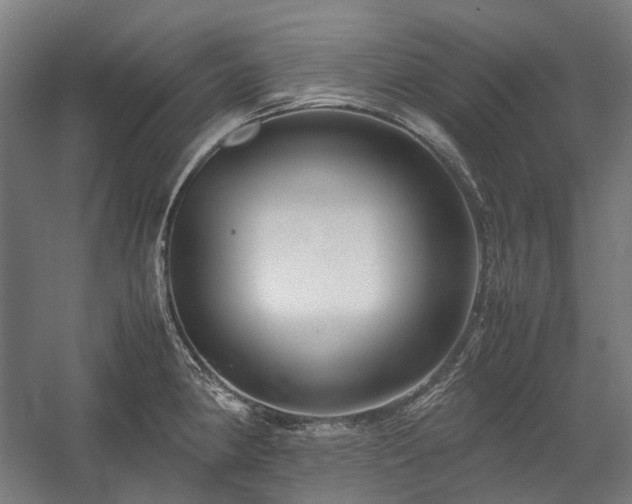 X0000058101190200509230952