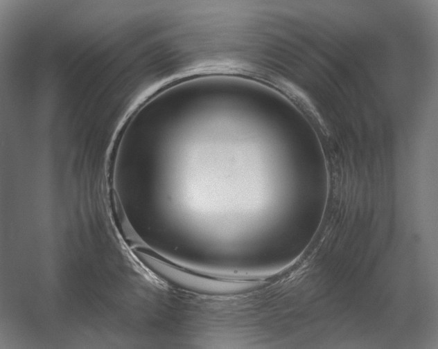 X0000058101192200509230952
