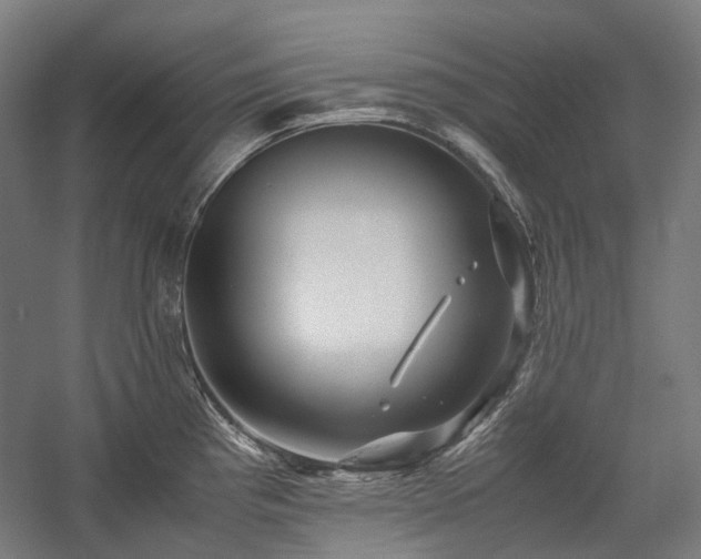 X0000058101193200509230952