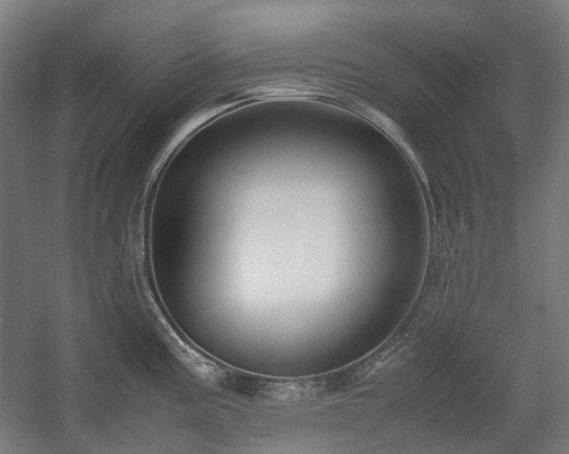 X0000058101195200509230951