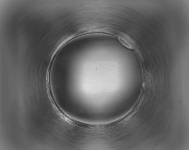 X0000058101198200509230951