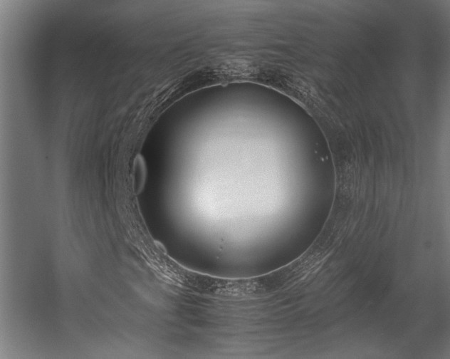 X0000058101201200509230951