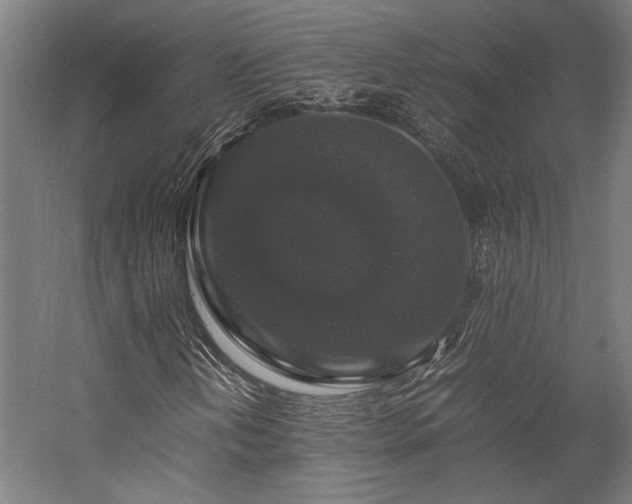 X0000058101202200509230951