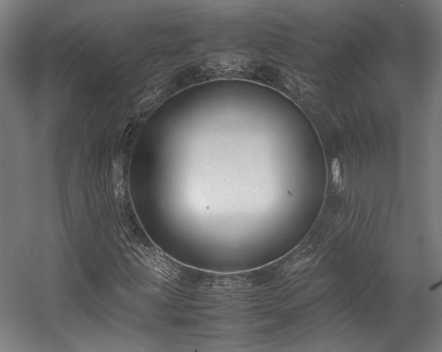 X0000058101203200509230951