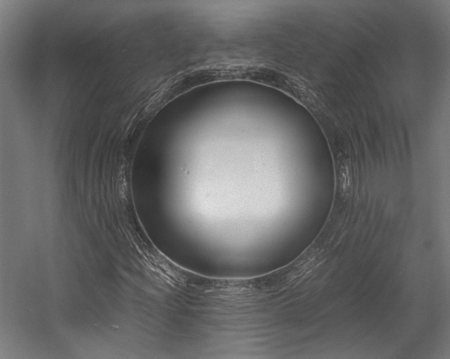 X0000058101204200509230951
