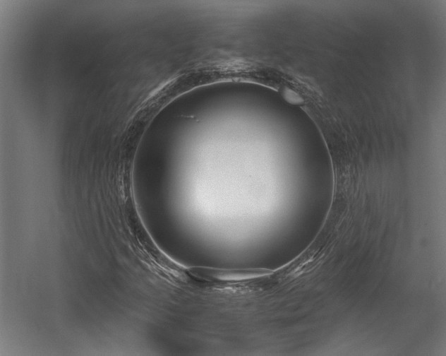 X0000058101205200509230951