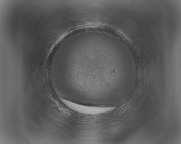 X0000058101208200509230951