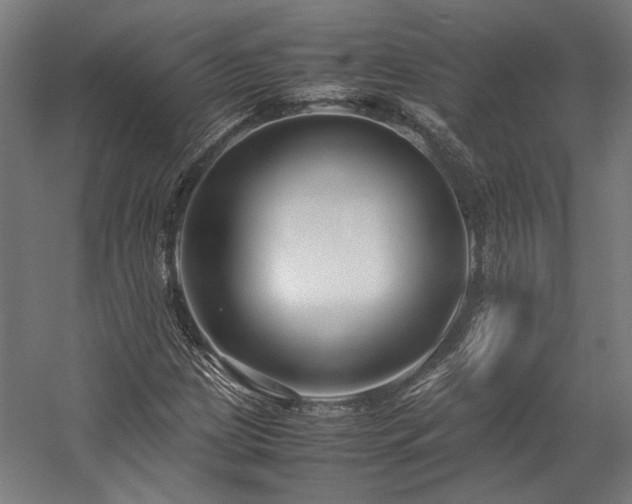X0000058101209200509230951