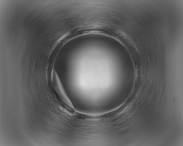 X0000058101210200509230951