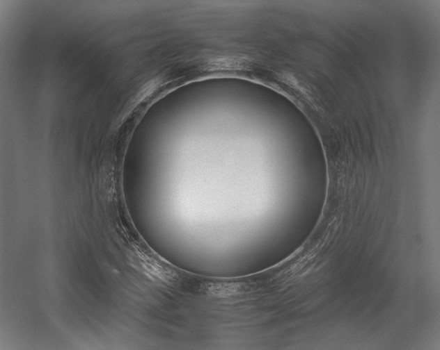 X0000058101211200509230951
