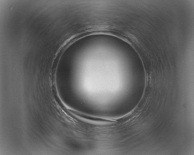 X0000058101212200509230951