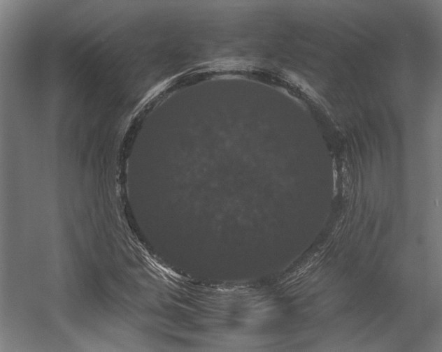 X0000058101213200509230951