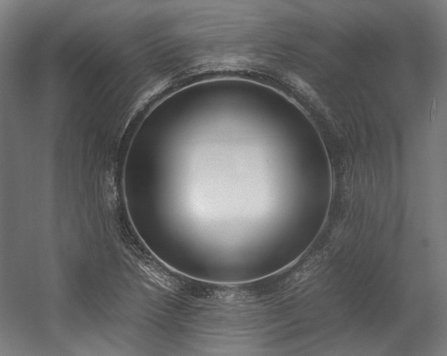 X0000058101218200509230951