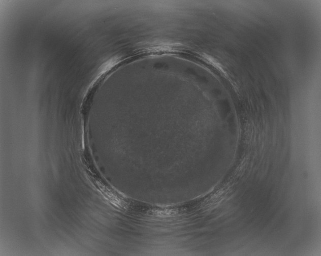 X0000058101219200509230951