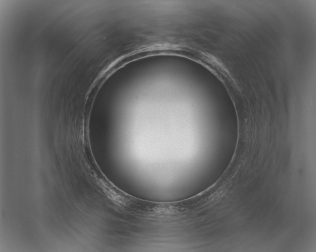 X0000058101220200509230951