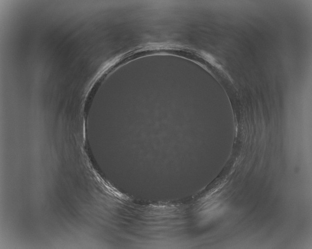 X0000058101221200509230951