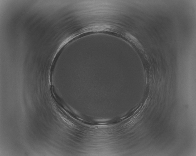 X0000058101226200509230951