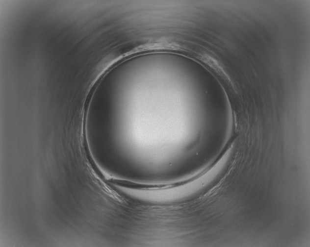 X0000058101228200509230951