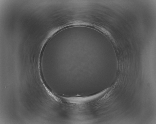 X0000058101231200509230951