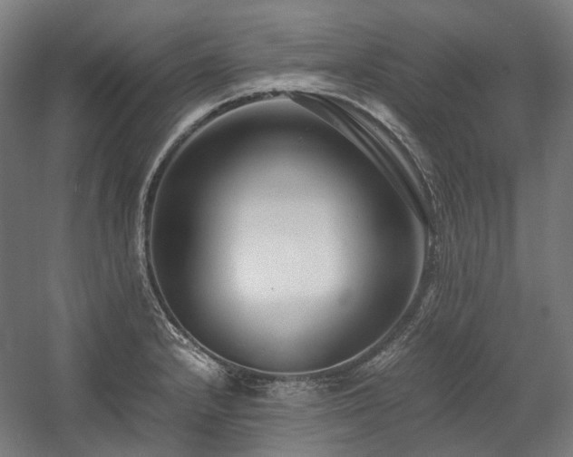 X0000058101232200509230951