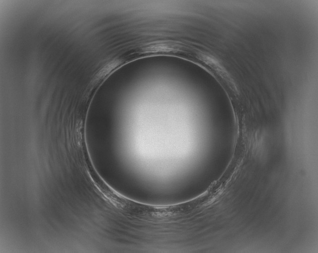 X0000058101233200509230951