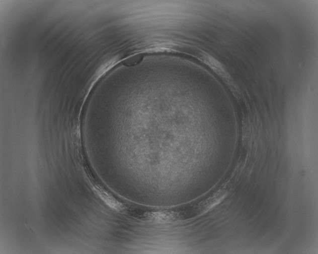 X0000058101234200509230951